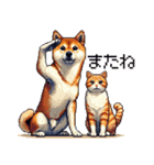 なかよしな柴犬とキジトラ ドット絵（個別スタンプ：18）