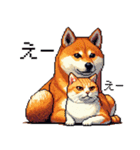 なかよしな柴犬とキジトラ ドット絵（個別スタンプ：19）