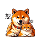 なかよしな柴犬とキジトラ ドット絵（個別スタンプ：20）