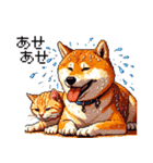 なかよしな柴犬とキジトラ ドット絵（個別スタンプ：21）