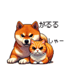 なかよしな柴犬とキジトラ ドット絵（個別スタンプ：22）