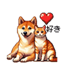 なかよしな柴犬とキジトラ ドット絵（個別スタンプ：24）