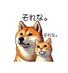 なかよしな柴犬とキジトラ ドット絵（個別スタンプ：27）