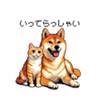 なかよしな柴犬とキジトラ ドット絵（個別スタンプ：28）