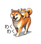 なかよしな柴犬とキジトラ ドット絵（個別スタンプ：31）