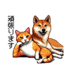 なかよしな柴犬とキジトラ ドット絵（個別スタンプ：32）