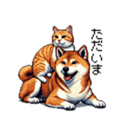 なかよしな柴犬とキジトラ ドット絵（個別スタンプ：34）