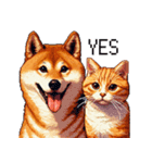 なかよしな柴犬とキジトラ ドット絵（個別スタンプ：35）