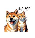 なかよしな柴犬とキジトラ ドット絵（個別スタンプ：37）