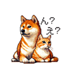 なかよしな柴犬とキジトラ ドット絵（個別スタンプ：39）