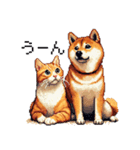 なかよしな柴犬とキジトラ ドット絵（個別スタンプ：40）