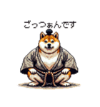 ドット絵 力士な柴犬 相撲 40種（個別スタンプ：1）