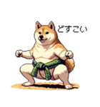 ドット絵 力士な柴犬 相撲 40種（個別スタンプ：2）