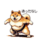 ドット絵 力士な柴犬 相撲 40種（個別スタンプ：3）