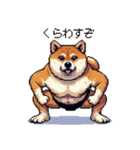 ドット絵 力士な柴犬 相撲 40種（個別スタンプ：4）