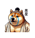 ドット絵 力士な柴犬 相撲 40種（個別スタンプ：5）