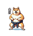 ドット絵 力士な柴犬 相撲 40種（個別スタンプ：6）