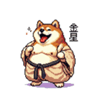 ドット絵 力士な柴犬 相撲 40種（個別スタンプ：7）