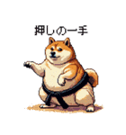 ドット絵 力士な柴犬 相撲 40種（個別スタンプ：10）