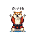 ドット絵 力士な柴犬 相撲 40種（個別スタンプ：11）