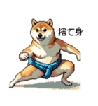 ドット絵 力士な柴犬 相撲 40種（個別スタンプ：13）