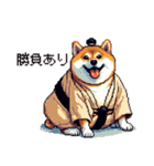 ドット絵 力士な柴犬 相撲 40種（個別スタンプ：14）