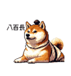 ドット絵 力士な柴犬 相撲 40種（個別スタンプ：16）