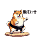 ドット絵 力士な柴犬 相撲 40種（個別スタンプ：17）