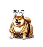 ドット絵 力士な柴犬 相撲 40種（個別スタンプ：19）