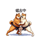 ドット絵 力士な柴犬 相撲 40種（個別スタンプ：25）