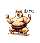 ドット絵 力士な柴犬 相撲 40種（個別スタンプ：26）