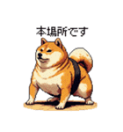 ドット絵 力士な柴犬 相撲 40種（個別スタンプ：27）