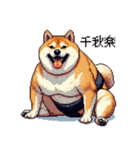 ドット絵 力士な柴犬 相撲 40種（個別スタンプ：29）