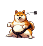 ドット絵 力士な柴犬 相撲 40種（個別スタンプ：30）