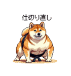 ドット絵 力士な柴犬 相撲 40種（個別スタンプ：33）