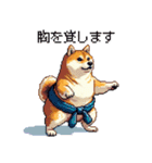 ドット絵 力士な柴犬 相撲 40種（個別スタンプ：35）