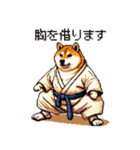 ドット絵 力士な柴犬 相撲 40種（個別スタンプ：36）