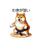 ドット絵 力士な柴犬 相撲 40種（個別スタンプ：37）