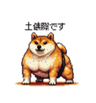 ドット絵 力士な柴犬 相撲 40種（個別スタンプ：38）