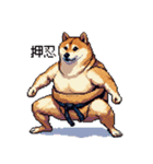 ドット絵 力士な柴犬 相撲 40種（個別スタンプ：40）