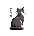 動物スタンプアラカルト（猫2）（個別スタンプ：10）