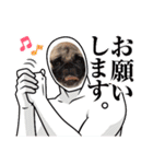 パグのらーさんスタンプ（個別スタンプ：3）
