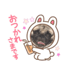 パグのらーさんスタンプ（個別スタンプ：31）