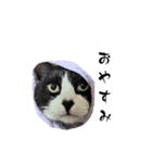 我が子＆ねこ（個別スタンプ：7）