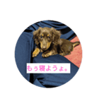 まろん❤のスタンプ（個別スタンプ：7）