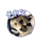りっくん。男の子。子犬。（個別スタンプ：5）