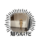 りっくん。男の子。子犬。（個別スタンプ：6）