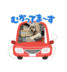 りっくん。男の子。子犬。（個別スタンプ：7）