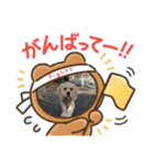 りっくん。男の子。子犬。（個別スタンプ：10）