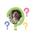 りっくん。男の子。子犬。（個別スタンプ：18）